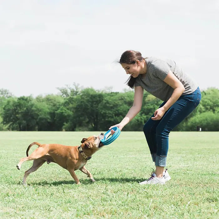 Chuckit Rugged Fetch Extra Durable Dog Toy Ring