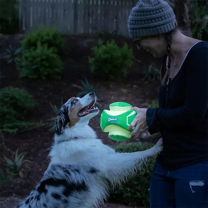 Chuckit Kick Fetch Max Glow Glowing Dog Toy for Night Play Large