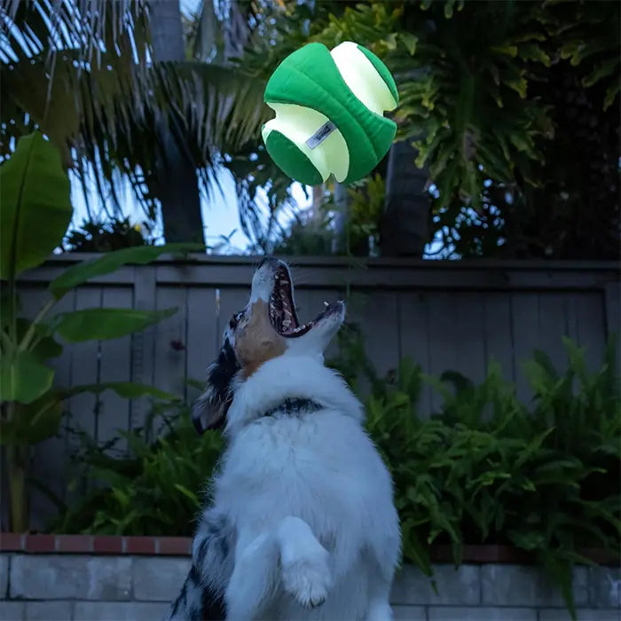 Chuckit Kick Fetch Max Glow Glowing Dog Toy for Night Play Large