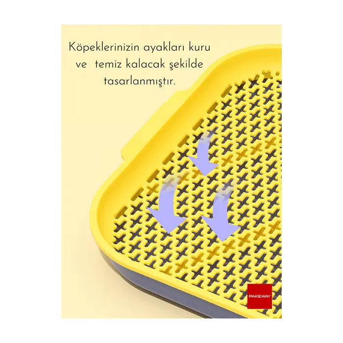 Pakeway Cactus Dog Pee Pad Holder for Training Yellow Small