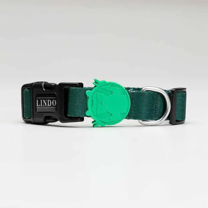 Lindo Brazil Dog Collar Stylish Daily Design Small 30-44cm