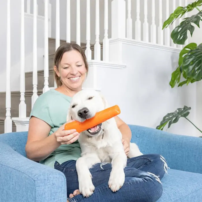 Chuckit Super Crunch Sound Dog Toy for Active Play