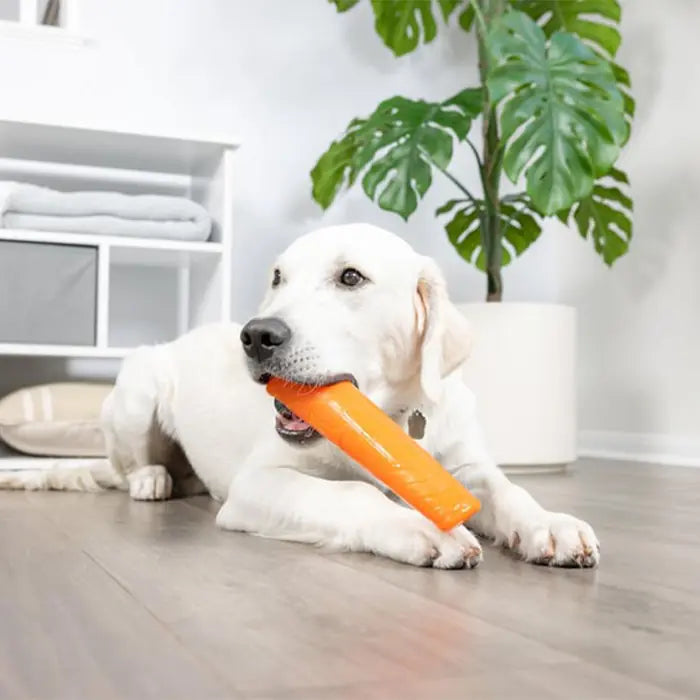 Chuckit Super Crunch Sound Dog Toy for Active Play