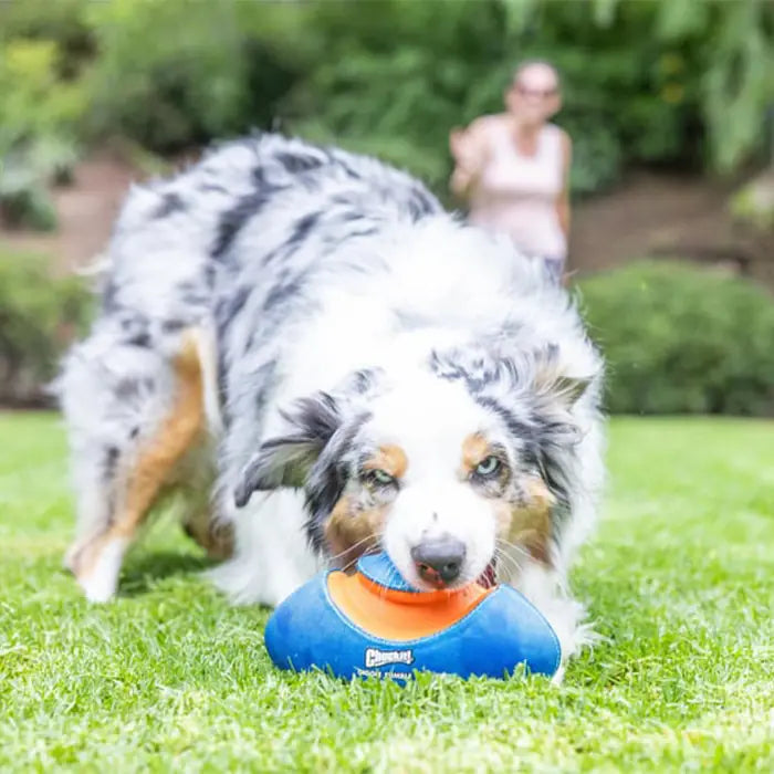 Chuckit Giggle Fumble Fetch Squeaky Dog Toy for Active Play
