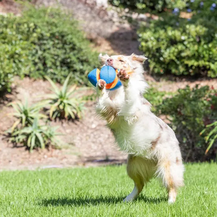 Chuckit Giggle Fumble Fetch Squeaky Dog Toy for Active Play