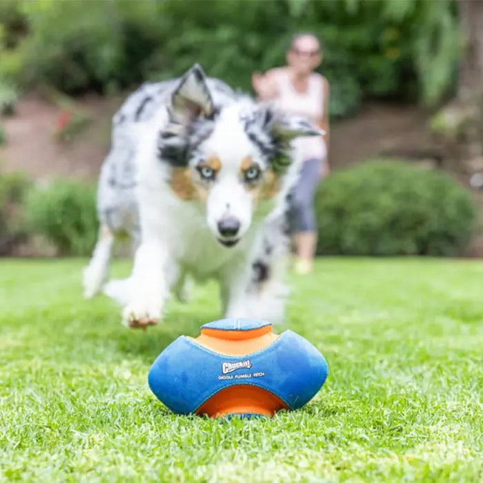 Chuckit Giggle Fumble Fetch Squeaky Dog Toy for Active Play