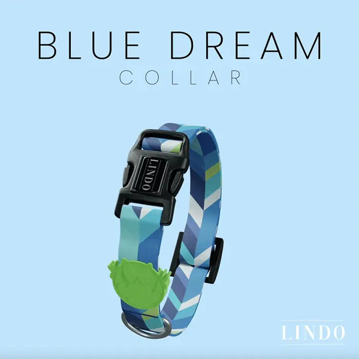 Lindo Blue Dream Adjustable Dog Collar for Large Breeds 46-70cm