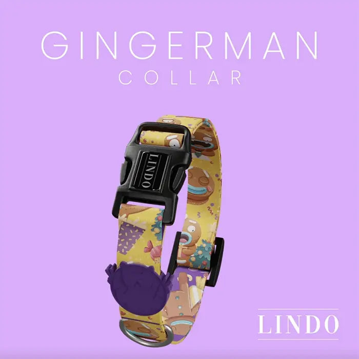 Lindo Ginger Man Dog Collar Stylish Adjustable Large 46-70cm