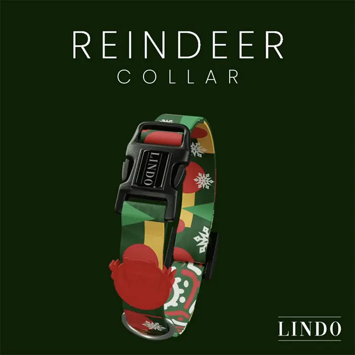 Lindo Reindeer Dog Collar Adjustable Large 46-70cm