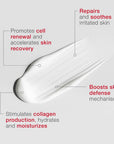 Skincode Regenerating Night Cream 50ml - Anti-Aging Skincare for Nourished Skin