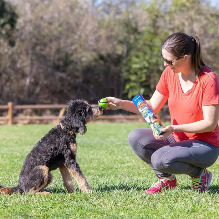 Chuckit Sniff Fetch Scented Dog Ball Set 4-Pack