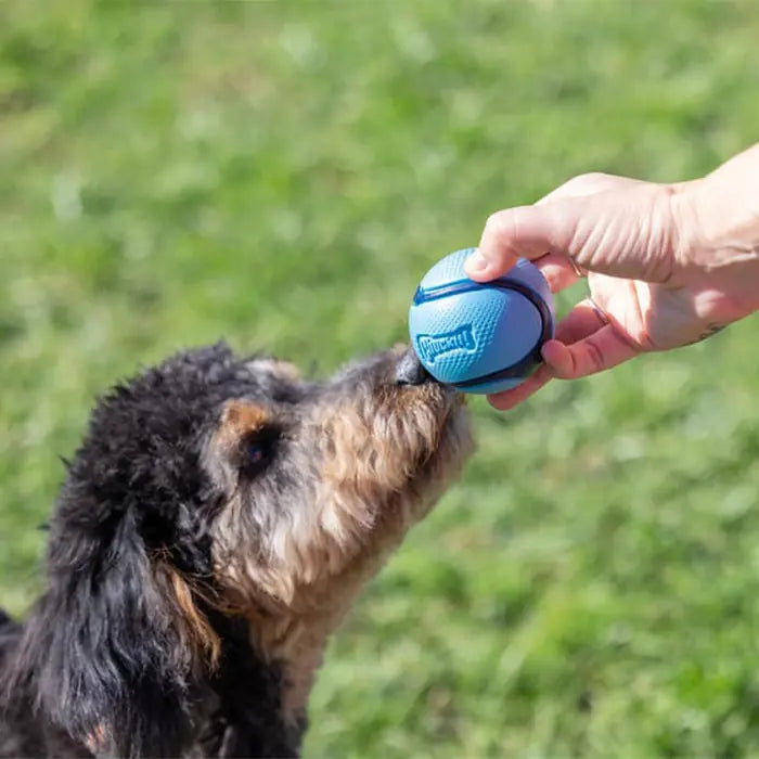 Chuckit Sniff Fetch Scented Dog Ball Set 4-Pack