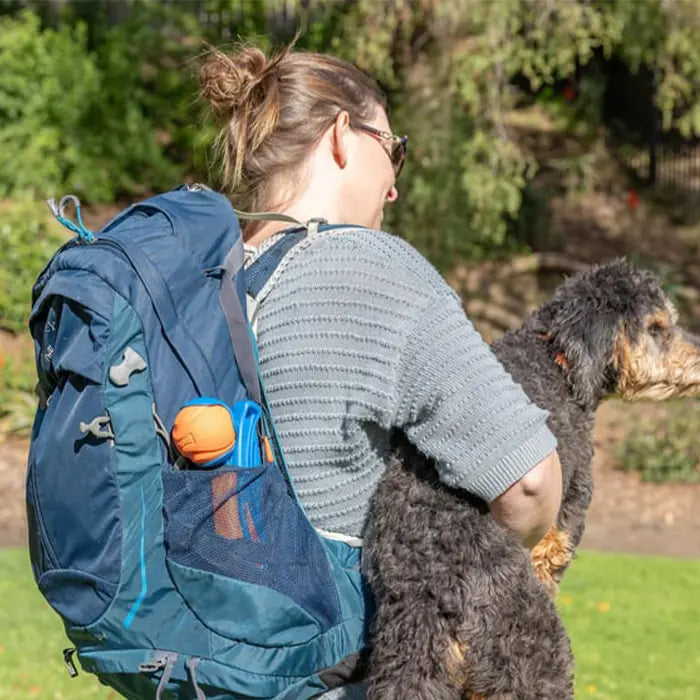 Chuckit Fetch Fold Mini Foldable Ball Launcher for Dogs