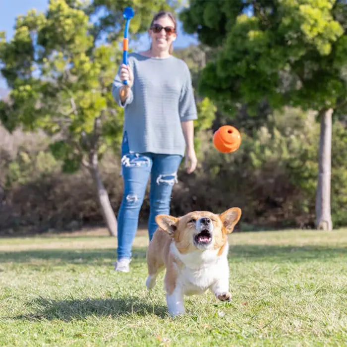 Chuckit Fetch Fold Mini Foldable Ball Launcher for Dogs
