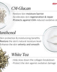Skincode Regenerating Night Cream 50ml - Anti-Aging Skincare for Nourished Skin