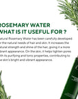 The Ceel Rosemary Water Hair Tonic 100ml - Natural Care | Revitalizing