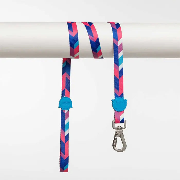 Lindo Pink Dream Dog Leash Durable Walking Strap Medium 120cm