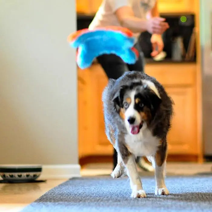 Chuckit Indoor Squirrel Soft Flying Dog Toy for Home Play