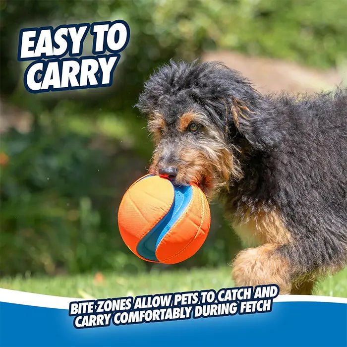 Chuckit! Kick Fetch Large Dog Ball for Interactive Play