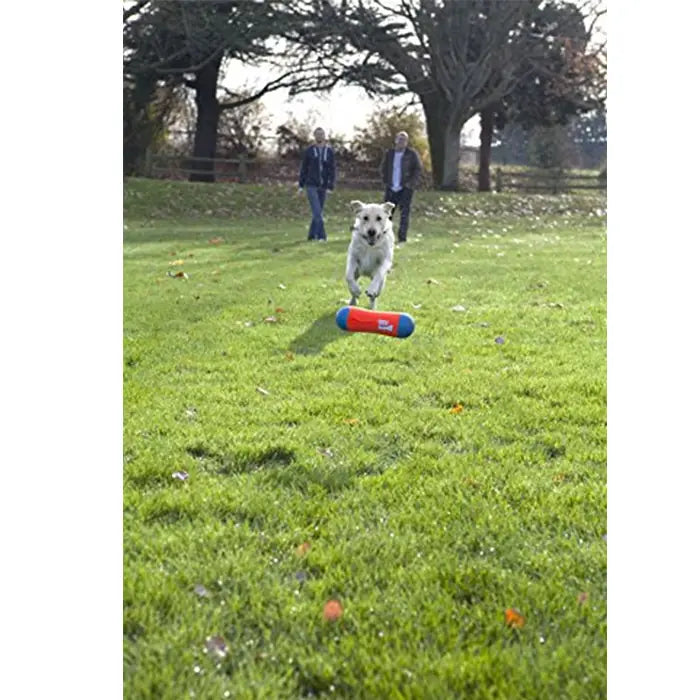 Chuckit Tumble Bumper Floating Dog Toy Large Size