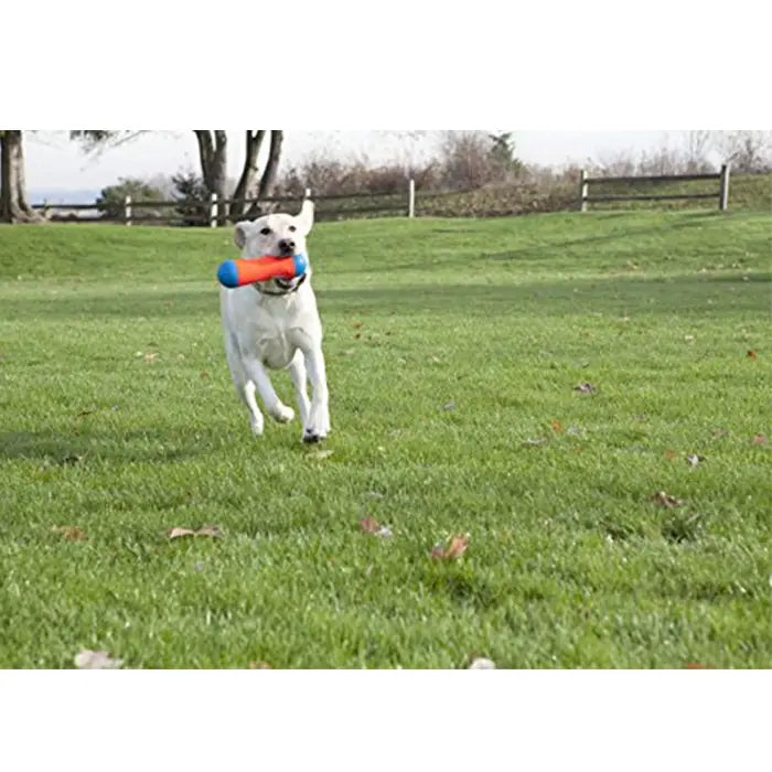 Chuckit Tumble Bumper Floating Dog Toy Large Size