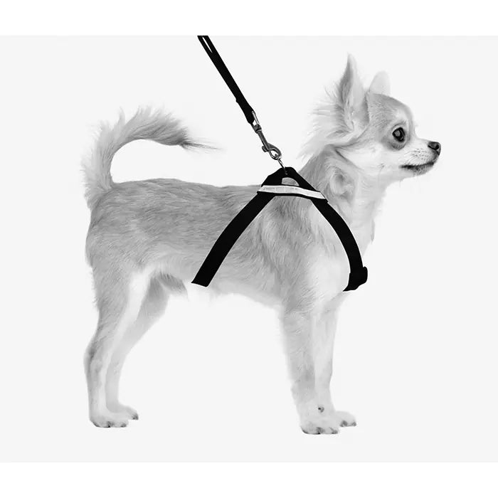 M-Pets Secura 2-in-1 Dog Harness for Travel & Walking Large