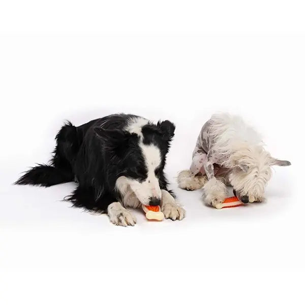 M-Pets Chewbo Bone Dental Bacon Flavored Dog Toy Small