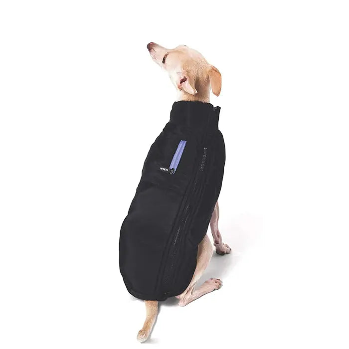 M-Pets Gentle Dog Winter Jacket Waterproof Black & Blue Medium