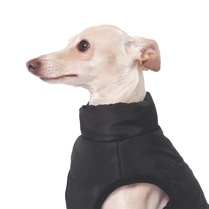 M-Pets Gentle Dog Winter Jacket Waterproof Coat Black Blue Large