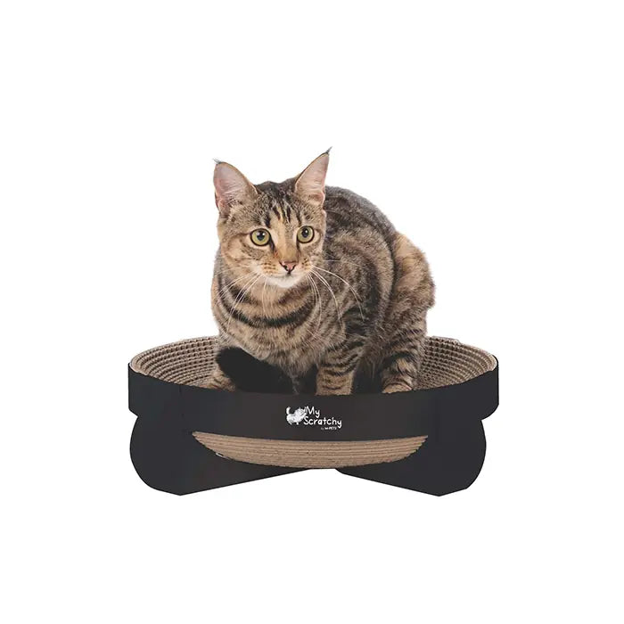 M-Pets My Scratchy Cleveland Cardboard Cat Scratcher 1 Count