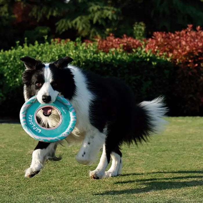 M-Pets Sprintpuff Frisbee Flexible Fetch Dog Toy Pink & Green