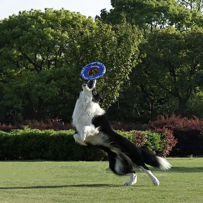 M-Pets Sprintpuff Frisbee Durable Blue Dog Toy