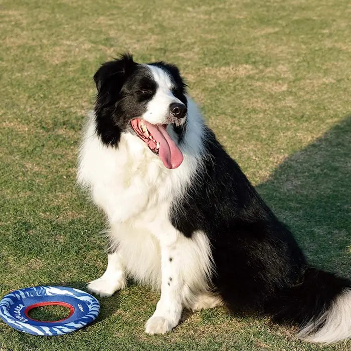 M-Pets Sprintpuff Frisbee Durable Blue Dog Toy