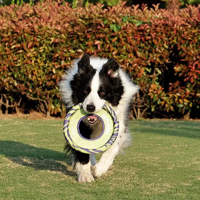 M-Pets Sprintpuff Frisbee Durable Dog Fetch Toy Purple & Green