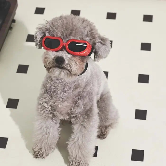 M-Pets Sunny Daytrip Dog Goggles Red Protective Eyewear