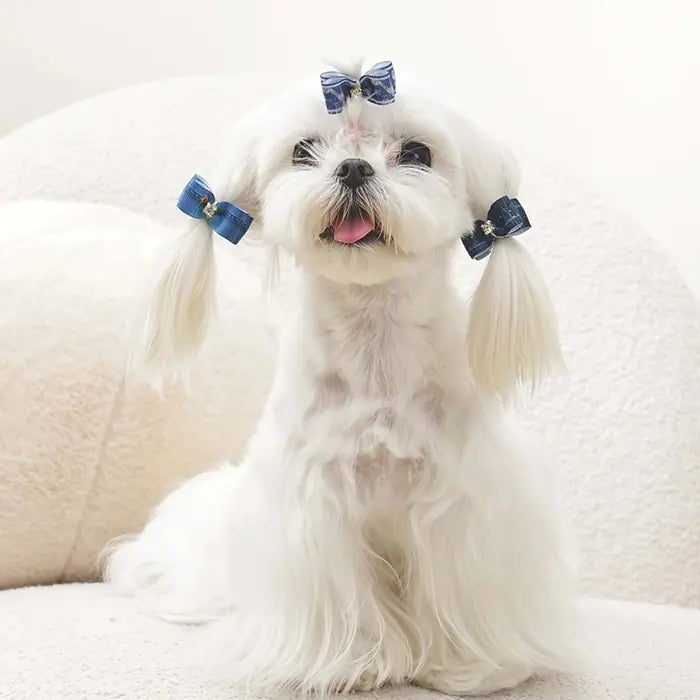 M-Pets Glam Bow Dog Hair Clip in Blue 1 pc