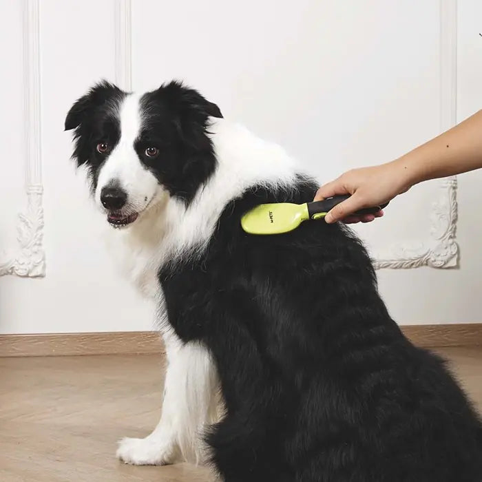 M-Pets Click And Groom Bristle Brush for Cats & Dogs