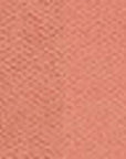 Golden Rose Iconic Blush Duo No: 04 Soft Pink 10g