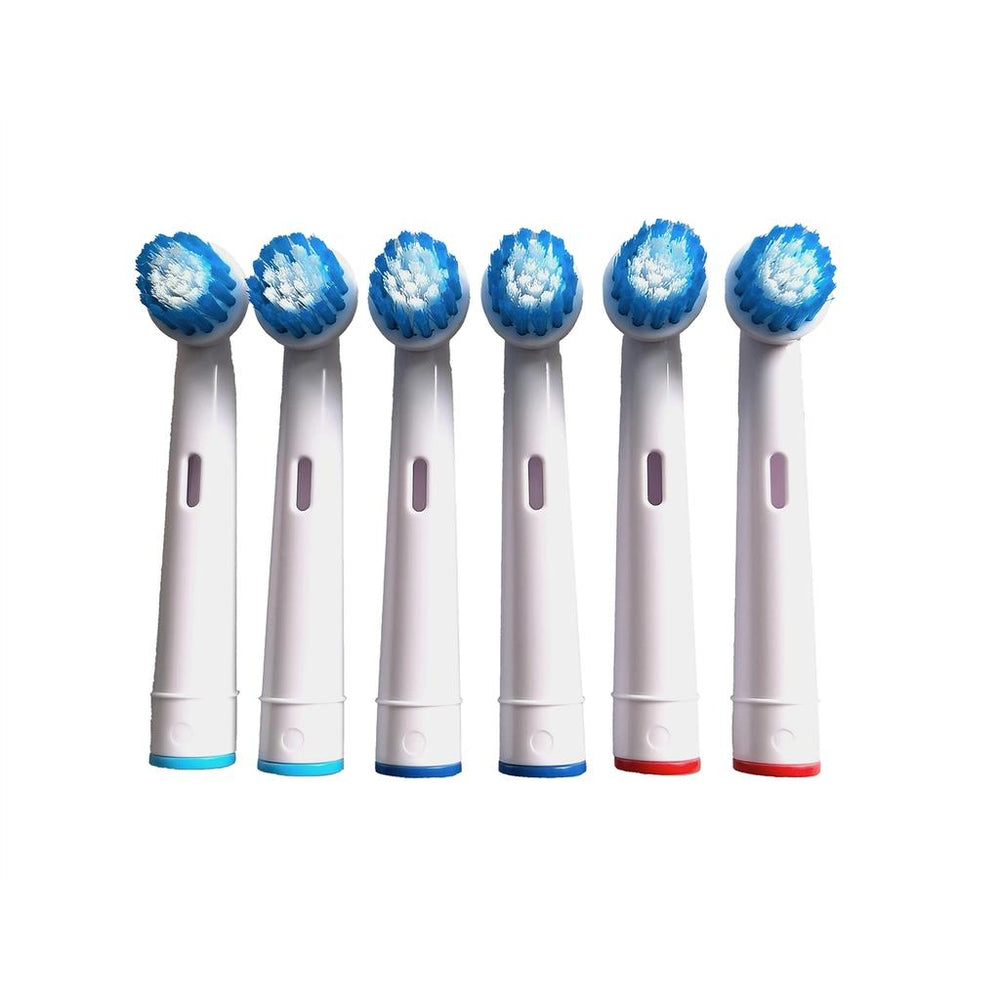 Kiwi Toothbrush Head Set KTB-6506