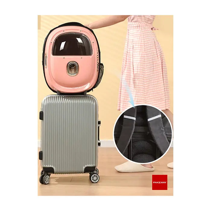 Pakeway Cat Backpack Carrier with Air Circulation Blue