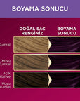 Palette Deluxe Permanent Hair Color 4-99 Amethyst Purple