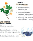 Lumene Nordic-C Vitamin C Moisturizing Cream with SPF30 - Brightening, Anti-Spot, Hydrating Skincare Product