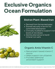 Ocean Dietary Supplement Iron Supplement with Lipofer - Supports Healthy Iron Levels & Anemia Support - 30 Tablets