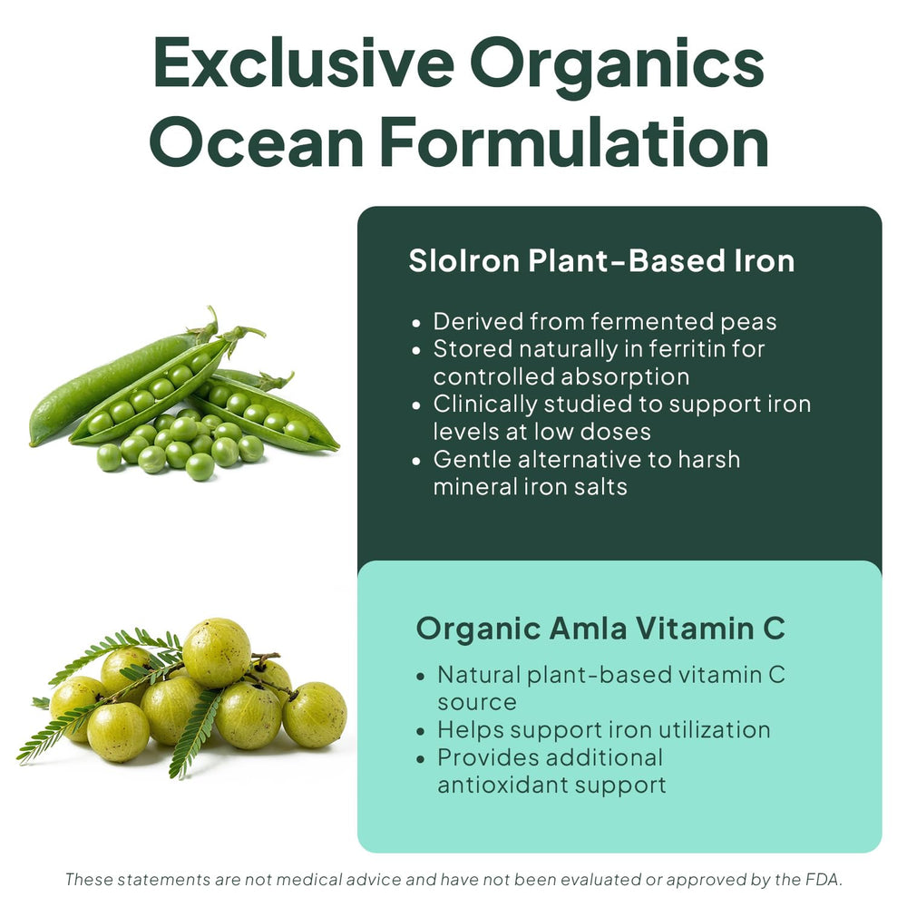 Ocean Methyl Folat - 30 Tablet Folic Acid Supplement - image 6