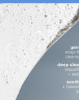 Dermalogica Special Cleansing Gel - Sulfate-Free, Gentle Skincare for Sensitive Skin, 1.69 fl oz