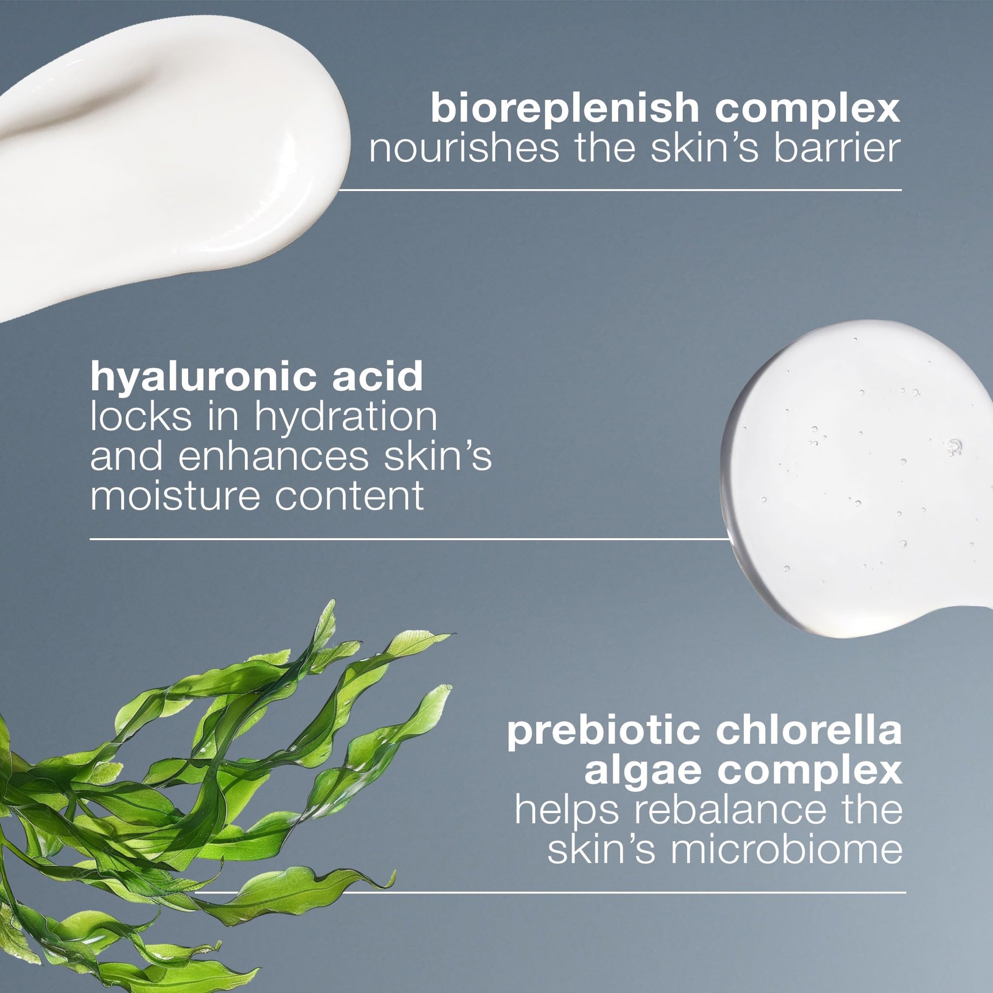 Dermalogica Intensive Moisture Balance Moisturizer for Dry Skin - Hydrating Skincare with Antioxidants &amp; Natural Ingredi