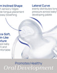 Chicco Orthodontic Pacifier - Physio Forma 2-Pack for Infants 6-16 Months, Safe Silicone Design