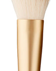 Purobio N02 Electric Toothbrush - Advanced Sonic Brushing Technology for Improved Oral Hygiene
