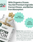 Ocean Dietary Supplement Iron Supplement with Lipofer - Supports Healthy Iron Levels & Anemia Support - 30 Tablets