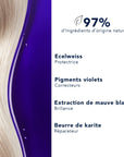 Phyto Purple Hair Mask - Neutralize Brassy Tones, Natural Care for Blonde, Grey, White Hair